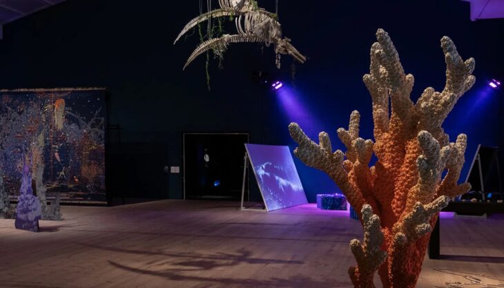 Baltic Big Days Out: Underwater Worlds