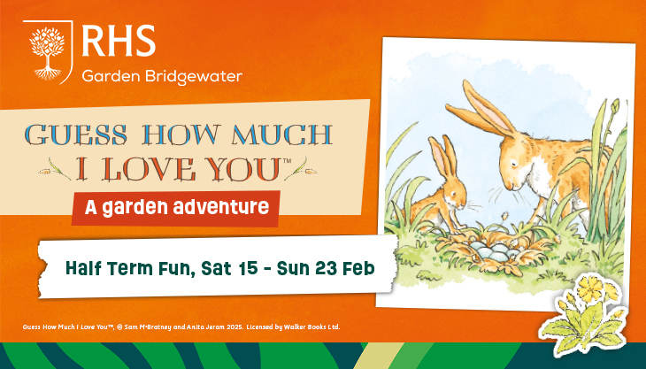 RHS Bridgewater: February Half Term Fun