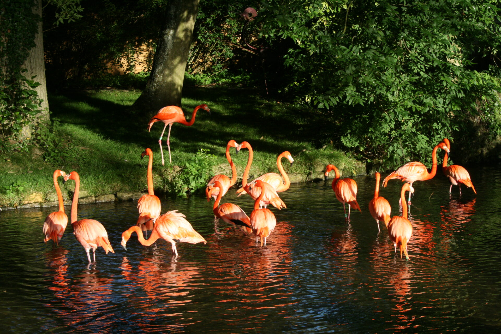 February Half Term at Birdland