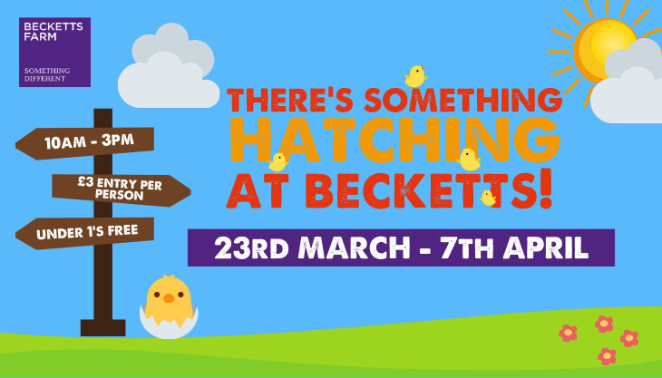 Win tickets to There’s Something Hatching at Becketts Farm