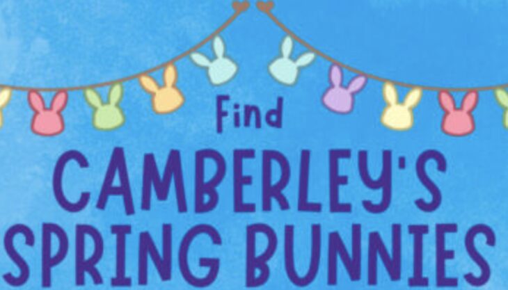 Find Camberley’s Spring Bunnies