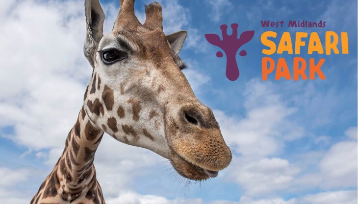 Win A Family Gold Annual Pass At West Midlands Safari Park