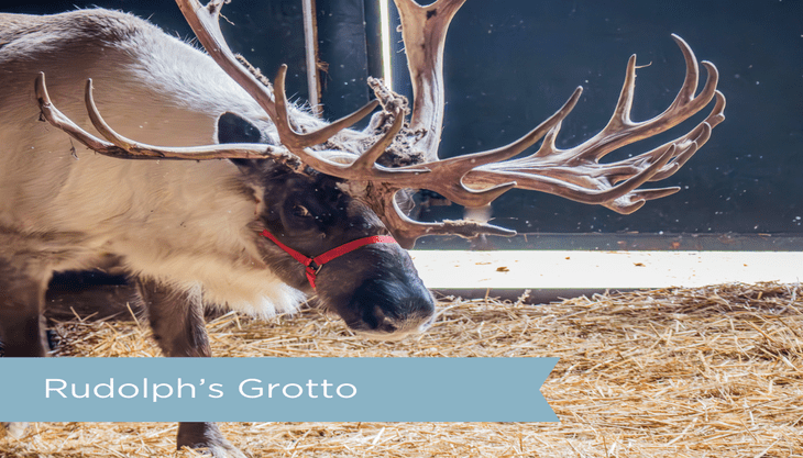 Rudolph’s Grotto at Sky Park Farm