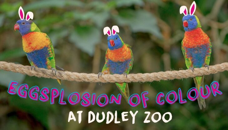 Easter at Dudley Zoo & Castle