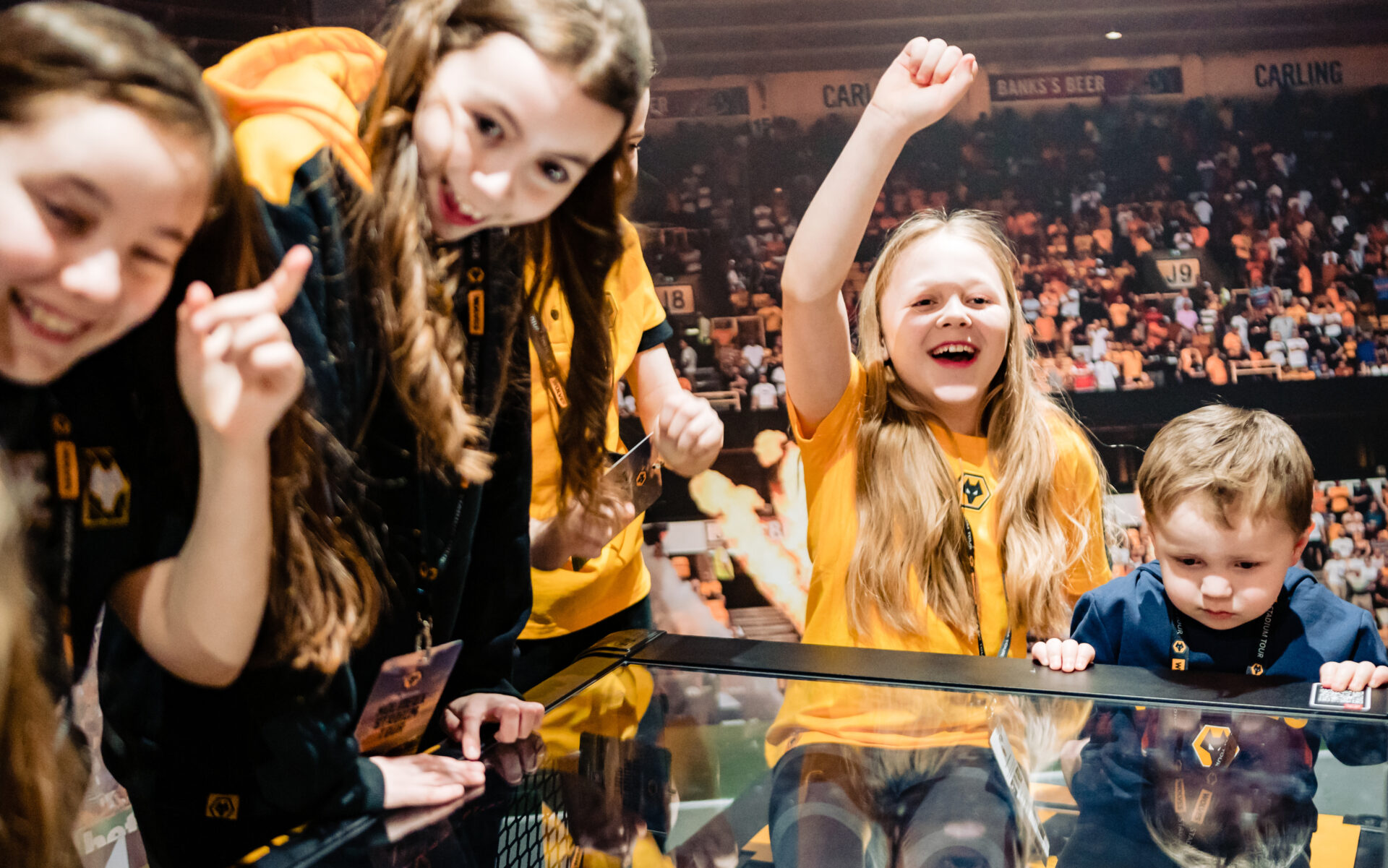 The Wolves Museum, Stadium Tours and Parties | Raring2go!