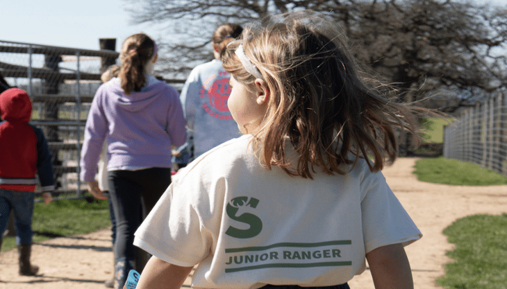 Ranger School at Sky Park Farm – Hampshire