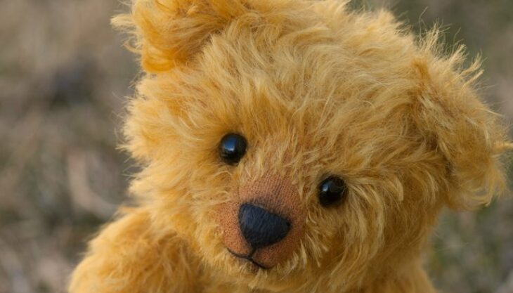 Teddy Bear Picnic Train Rides: Stephenson Steam Railway, North Shields