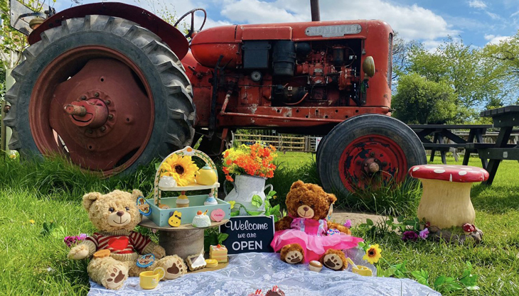 May Half Term Teddy Bears’ Tea Party at Lower Drayton Farm