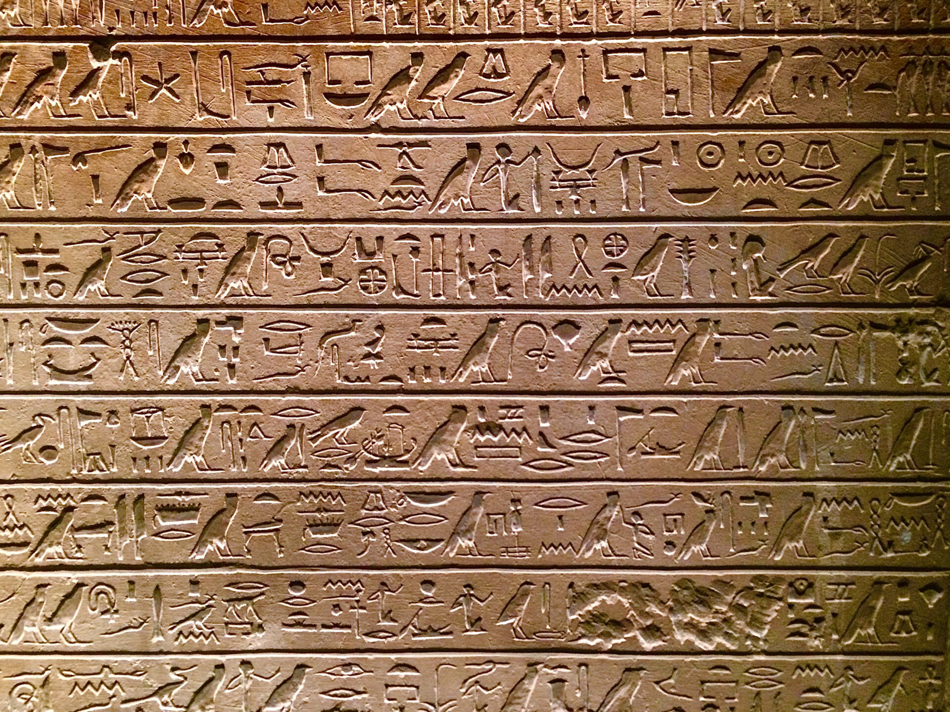 Let’s Investigate Hieroglyphs!