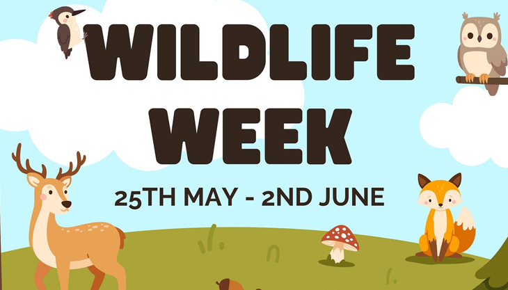 Wildlife Week at Chessington Garden Centre