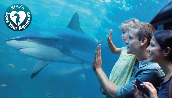 Love your aquarium? Visit the Oceanarium this May half term!