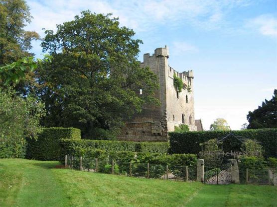 Open Garden at Bywell Castle (**FREE **)