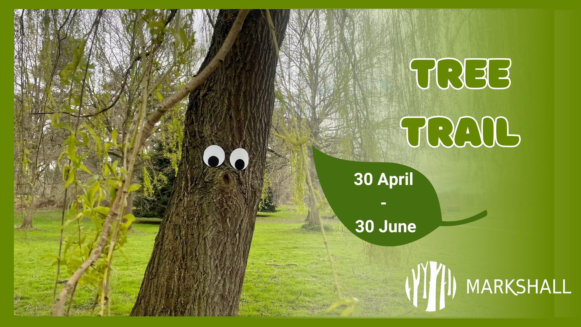 Tree Trail at Markshall Estate
