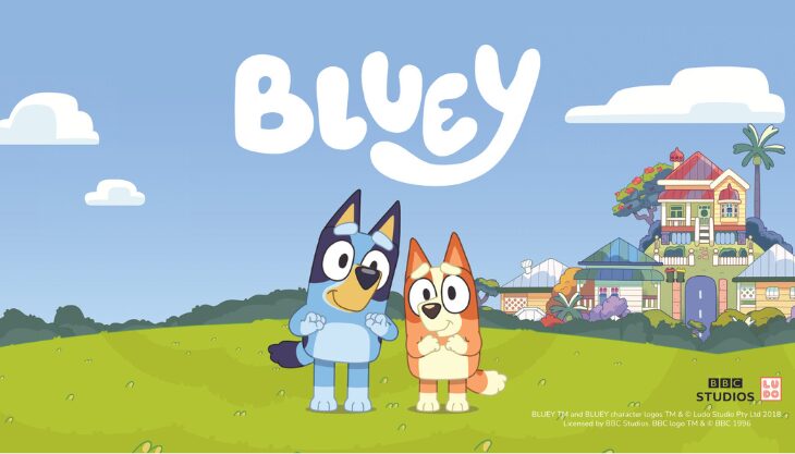 See Bluey & Bingo