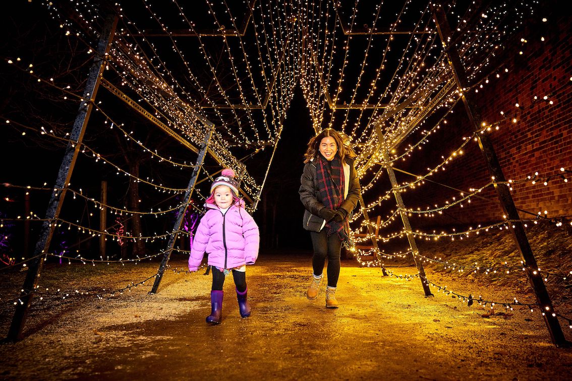 The Alnwick Garden’s Christmas Light Trail