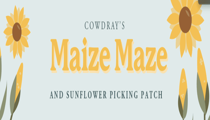 Cowdray’s Maize Maze and Flower Picking Patch