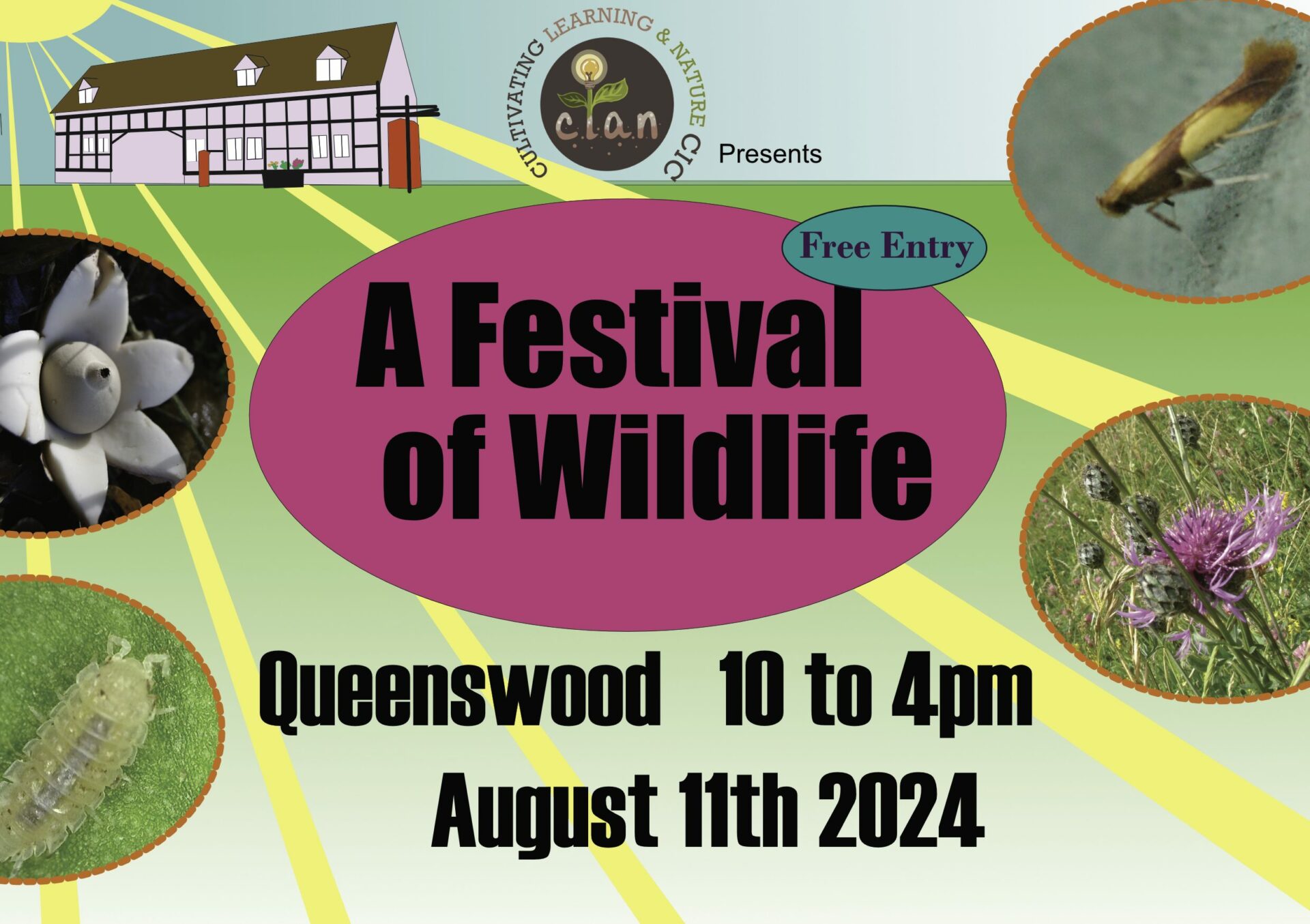 Festival of Wildlife