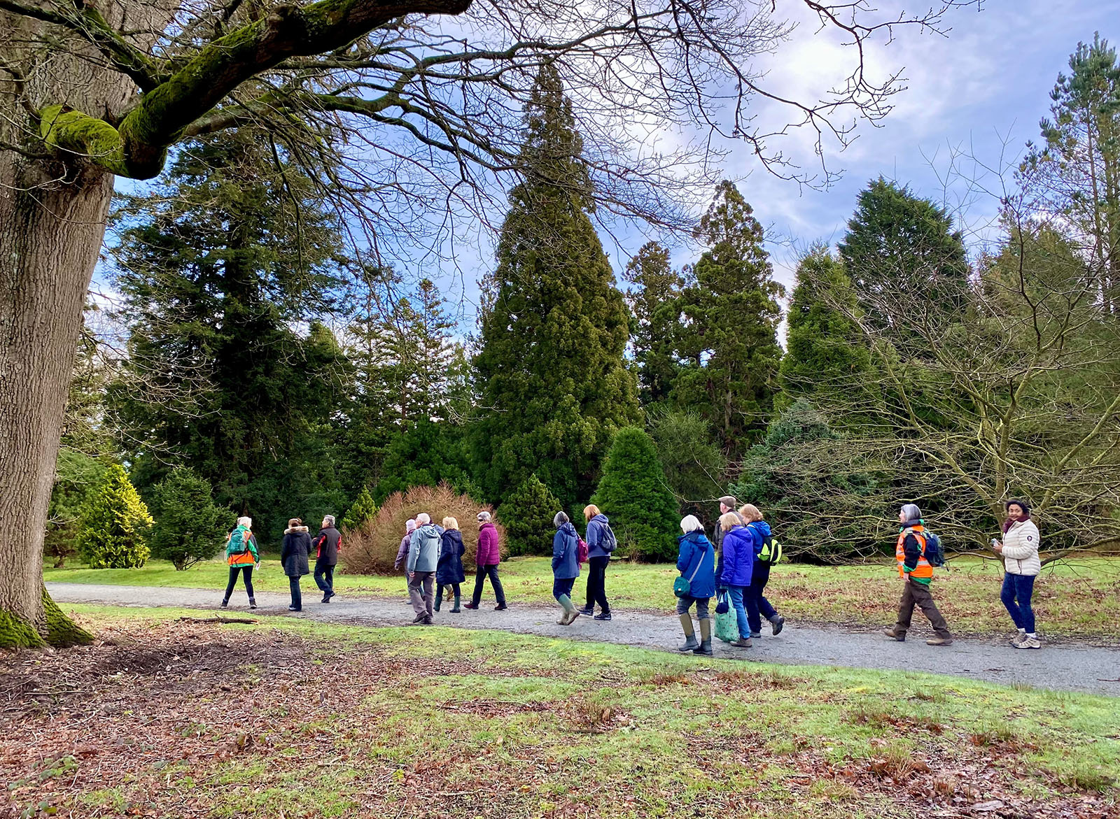 Ramblers Wellbeing Walks at Bedgebury National Pinetum and Forest
