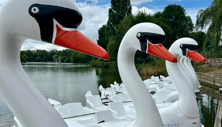 NEW SWAN PEDALOS ON ARROW VALLEY SWAN LAKE