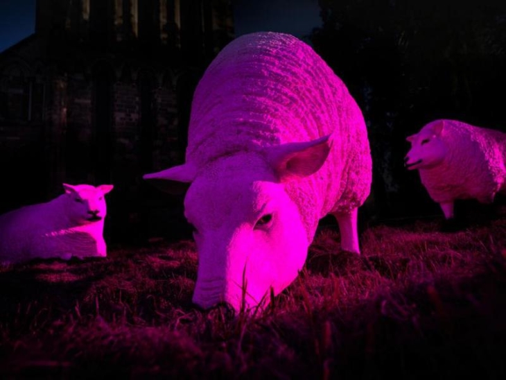 Illuminated Sheep: An Urban Adventure **FREE** family activity