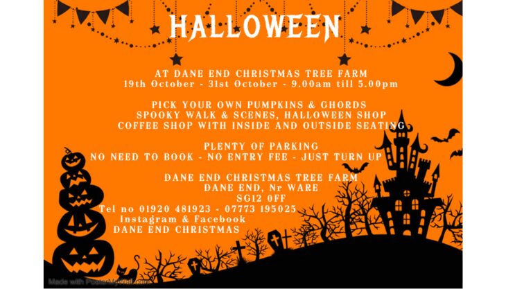 Halloween Pumpkin Fun at Dane End Christmas Tree Farm Ware