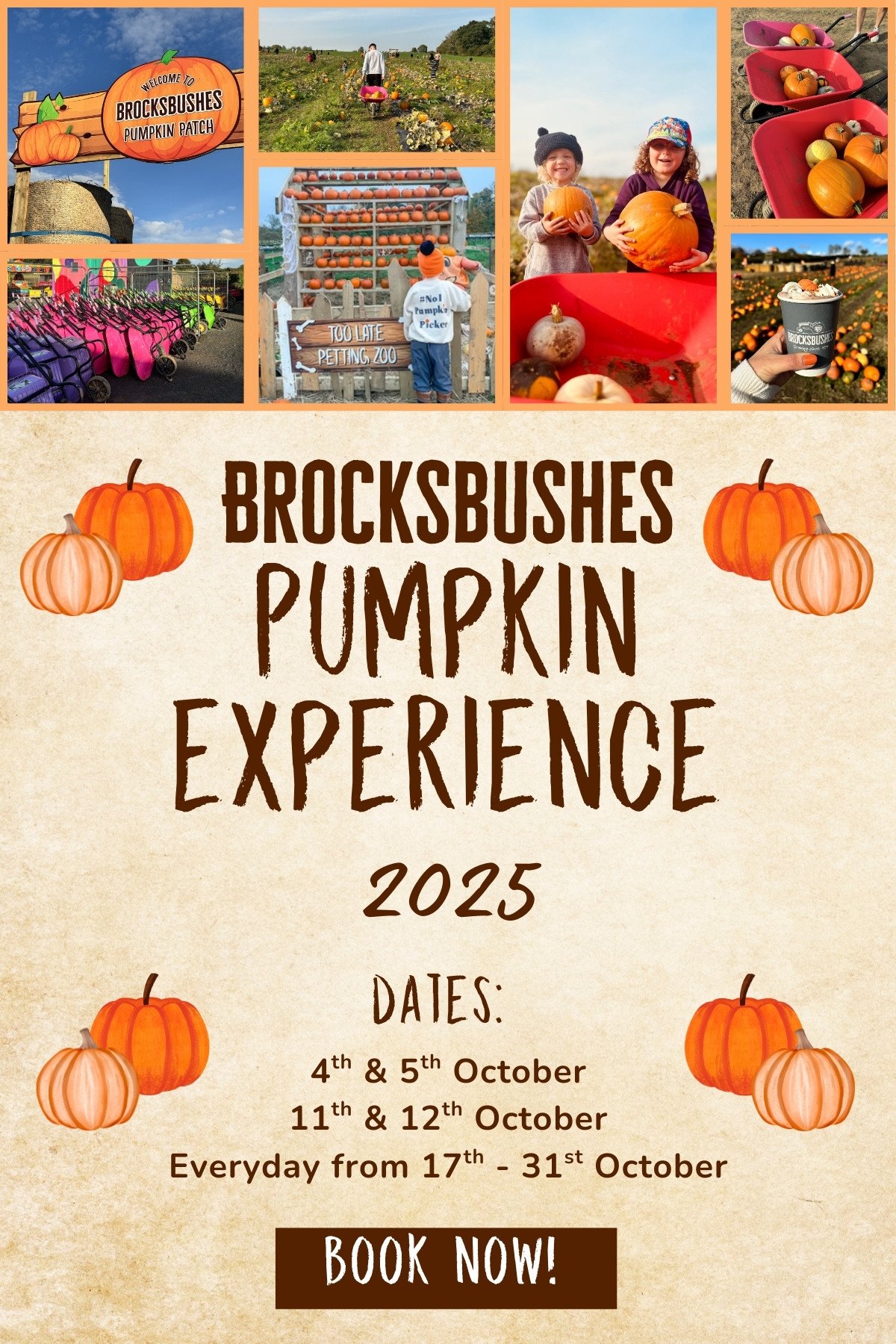 Brocksbushes Pumpkin Picking Experience