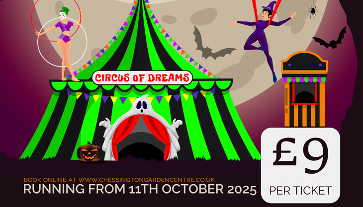Halloween Circus at Chessington Garden Centre