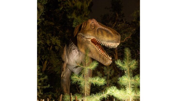 Dinos After Dark at Hertfordshire Zoo