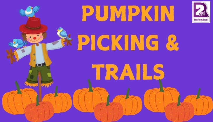 Walby Farm Park Pumpkin Picking