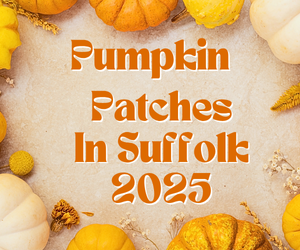Pumpkin Patches in Suffolk
