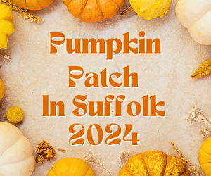 Pumpkin Patches in Suffolk