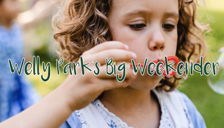 Welly Park’s Big Weekender – Wellington Country Park