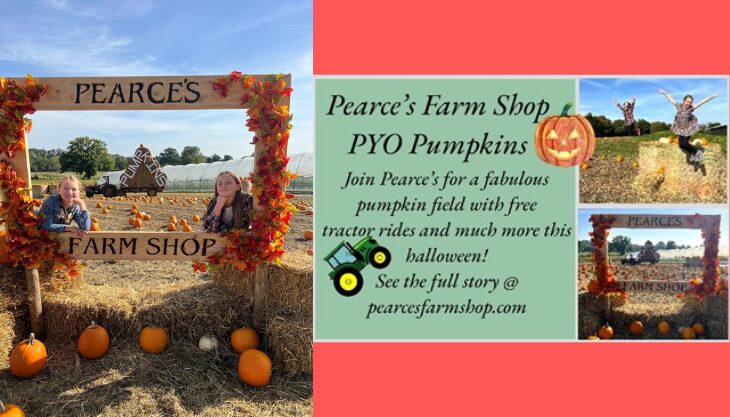 Pick Your Own Pumpkin At Pearce’s Farm Shop