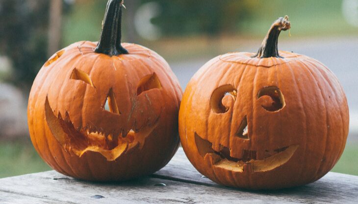 pumpkin patches solihull warwickshire