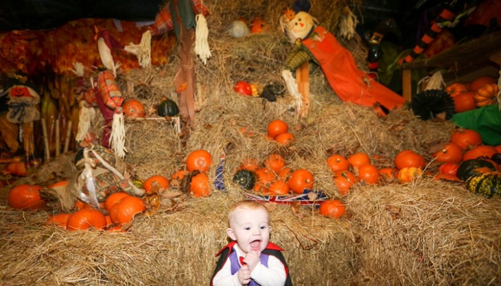 Halloween Spooktacular at Whitehouse Farm