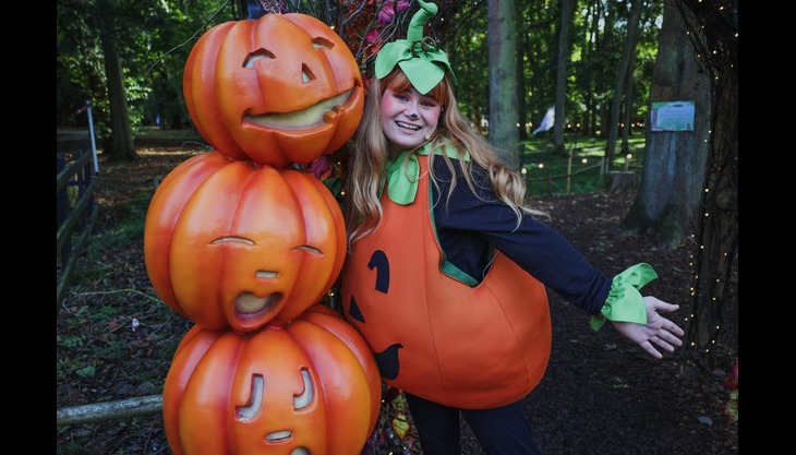 Halloween Special at Audley End Railway