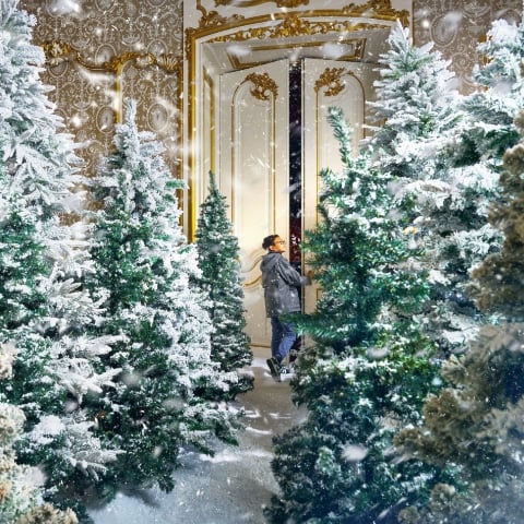 Narnia @ Wrest Park