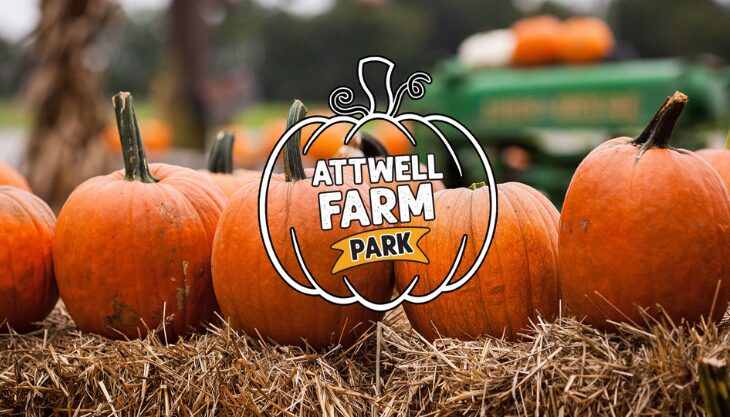 Halloween fun at Attwell Farm