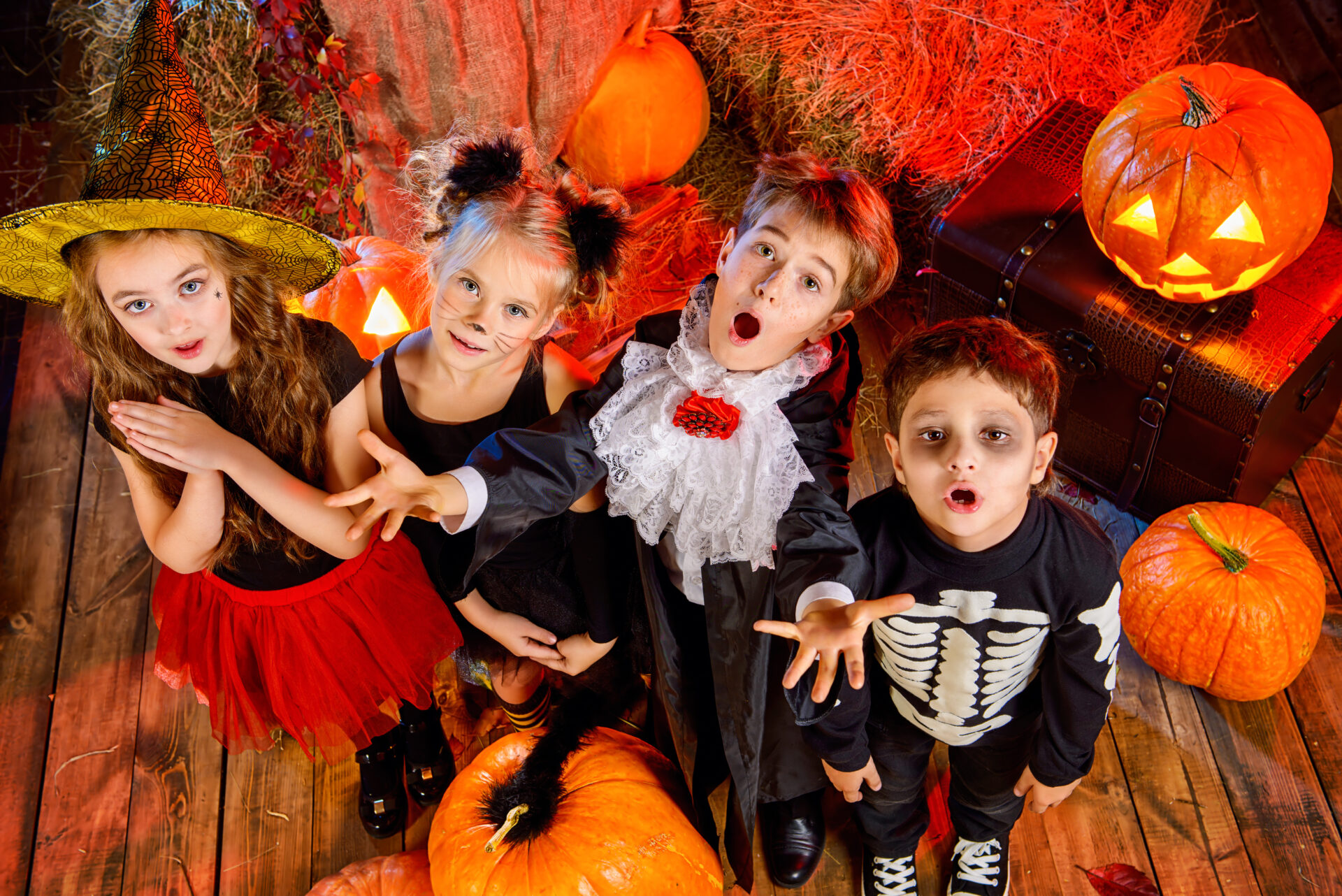 Trick or Treat at Avoncroft Museum