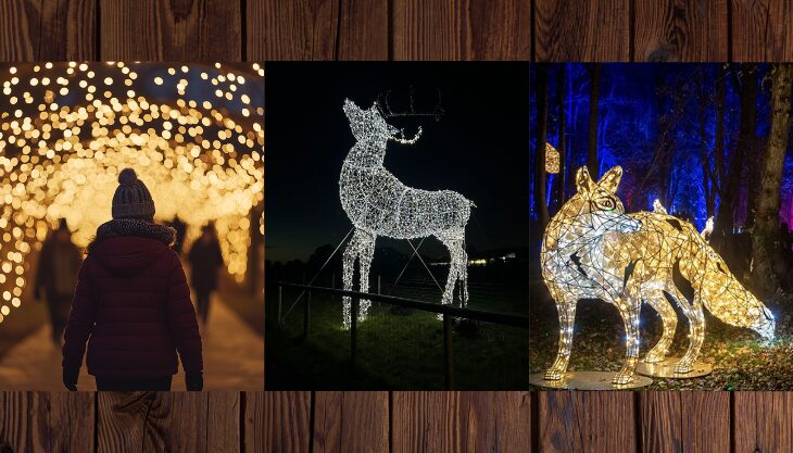 Festive Light Trail at Attwell Farm