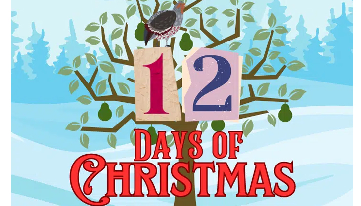 12 Days of Christmas Family Trail at Painshill