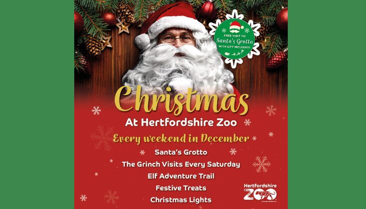 Christmas Wonderland at Hertfordshire Zoo