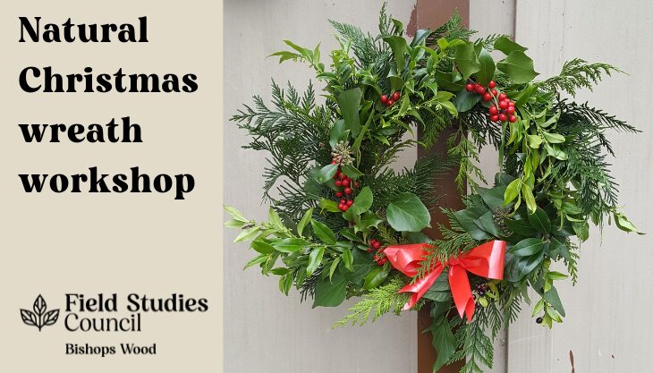 A Natural Christmas Wreath Full Of Green Foliage And Red Ribbon. Natural Christmas Wreath Workshop With Field Studies Council.