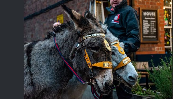 Altrincham’s Lantern Parade and Nativity Journey