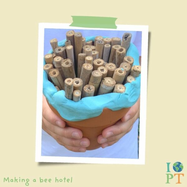 Eco activity kit - Our world is changing - Image 4