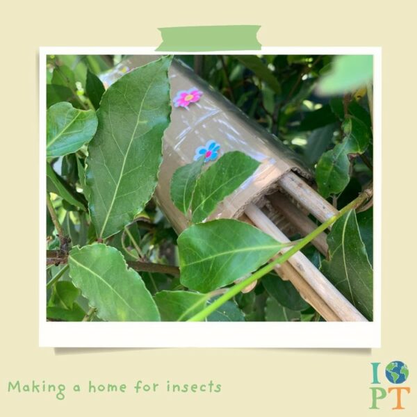 Eco activity kit - Incredible insects - Image 5