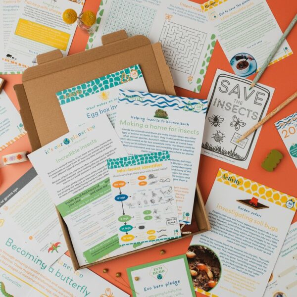 Eco activity kit - Incredible insects - Image 4