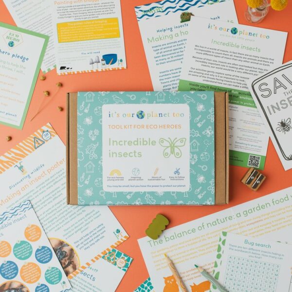 Eco activity kit - Incredible insects - Image 3