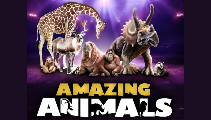 The Animal Guys: Amazing Animals, Playhouse Whitley Bay