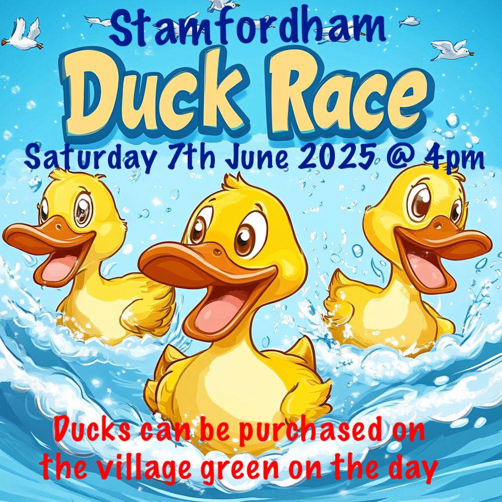 Stamfordham Village Fayre & Duck Race